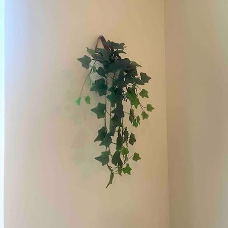 Appartement Noe Centre Ville تولون المظهر الخارجي الصورة